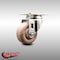 Service Caster 3 Inch 316SS High Temp Glass Filled Nylon Wheel Swivel Bolt Hole Caster SCC SCC-SS316BH20S314-GFNSHT - alternate 5